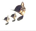 Chessie & Cat Items